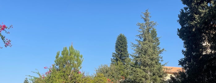 Latroun Monastery is one of Israel.