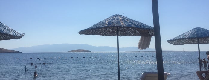 Foça Köy Hizmetleri Plajı is one of Lugares favoritos de Ato.