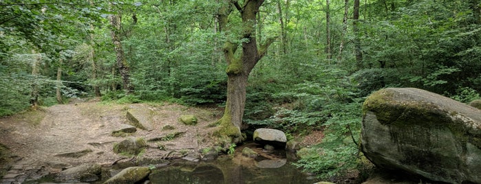Haywood Wood is one of Explore nature.
