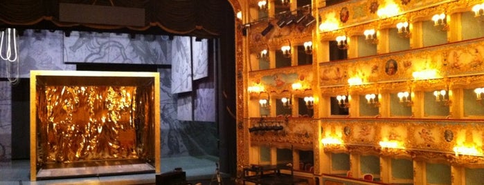 Teatro La Fenice is one of Cosas en venezia.