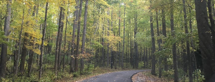 Roaring Fork Road is one of Waterfalls.