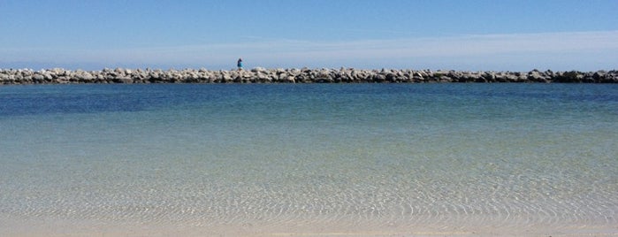 Harry Harris Beach is one of Lugares favoritos de Ileana LEE.