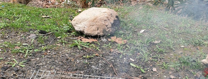 Gökdere Piknik Alanı is one of istanbullu mavisi.