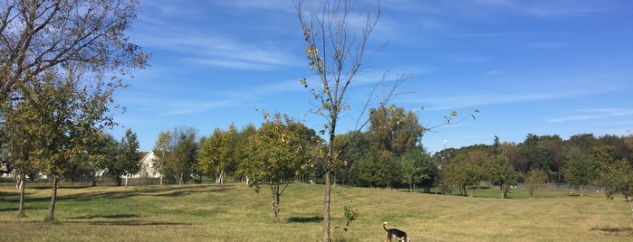 Eau Claire County Dog Park is one of parks.