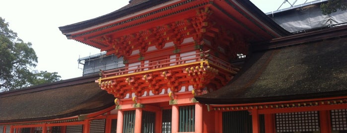 Usa Jingu Shrine is one of 八百万の神々 / Gods live everywhere in Japan.