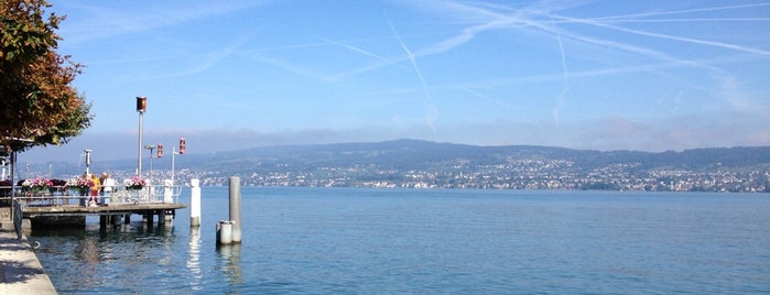 Wädenswil is one of Lizzieさんのお気に入りスポット.