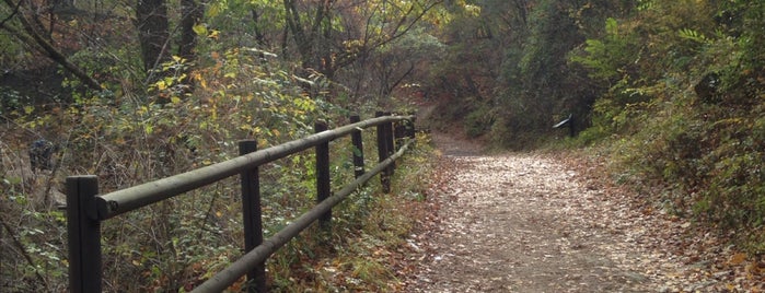 하늘재 정상 is one of สถานที่ที่ Won-Kyung ถูกใจ.