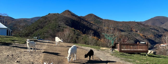 몽토랑산양목장 is one of Won-Kyung : понравившиеся места.