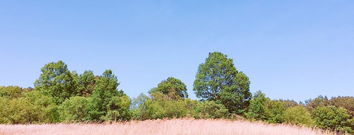 슬픈연가 촬영지 is one of Won-Kyung'un Beğendiği Mekanlar.