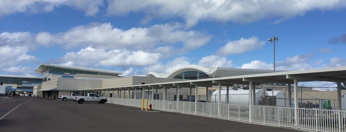 Domestic Terminal is one of Lieux qui ont plu à Rickard.