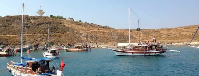 Bağla Koyu is one of bodrum plaj.