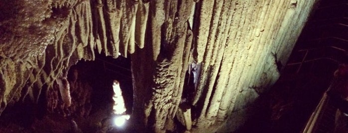 Mammoth Cave National Park is one of National Park Service sites visited.