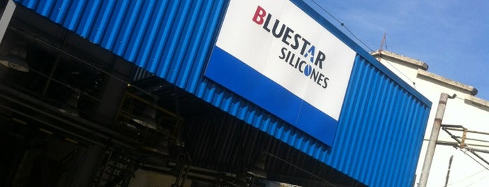 Bluestar Silicones is one of Clientes.