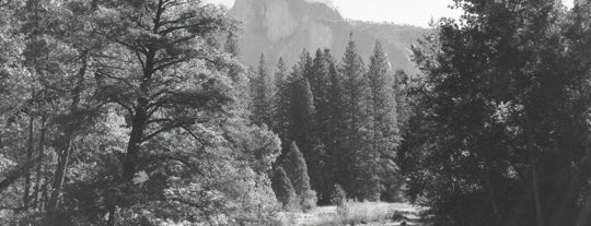 Yosemite National Park is one of hiking/camping.