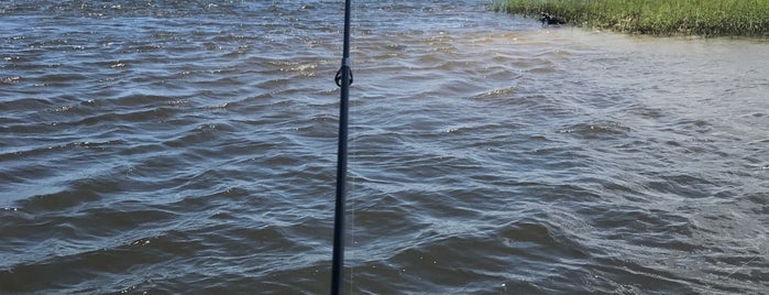 Intracoastal Waterway is one of Jacksonville's Saved Places.