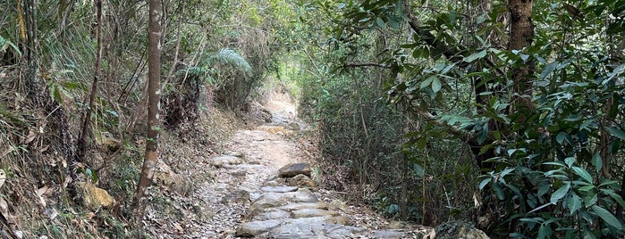 Wilson Trail (Section 10) is one of Hiking HKG.