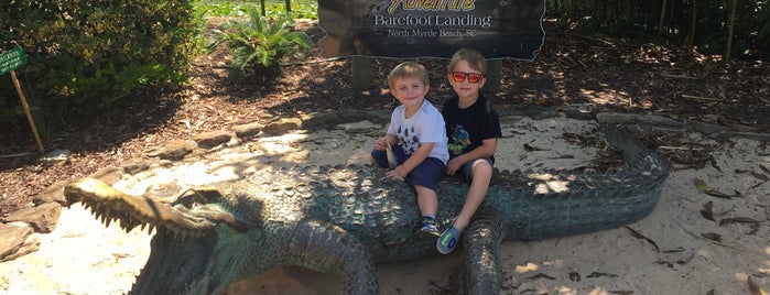 Alligator Adventure is one of MB.