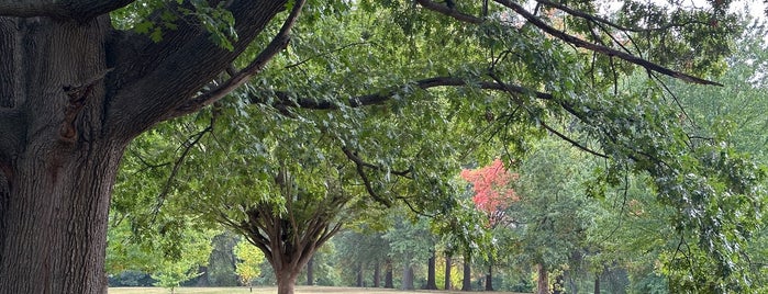 Francis Park is one of St. Louis.