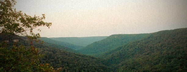 Savage Gulf is one of tennessee: outdoors..