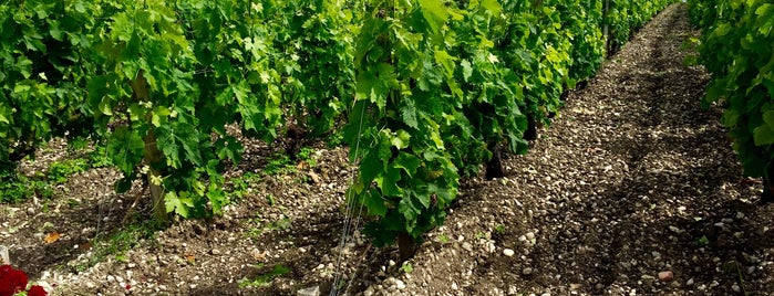 Château Brane Cantenac is one of Posti che sono piaciuti a Sierra.