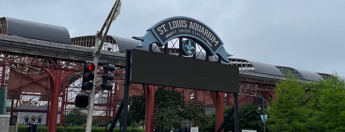 St. Louis Aquarium is one of Saint Louis.