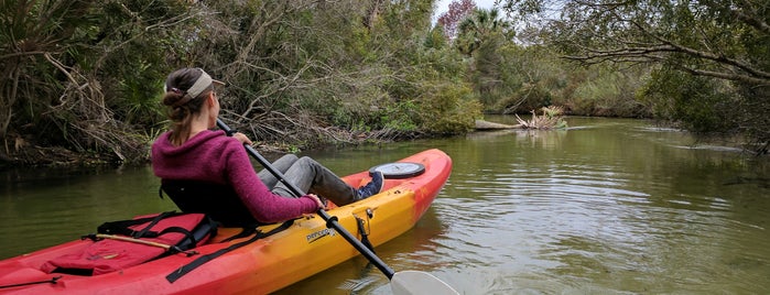 Juniper Springs Canoe Trip is one of Lieux sauvegardés par Kimmie.