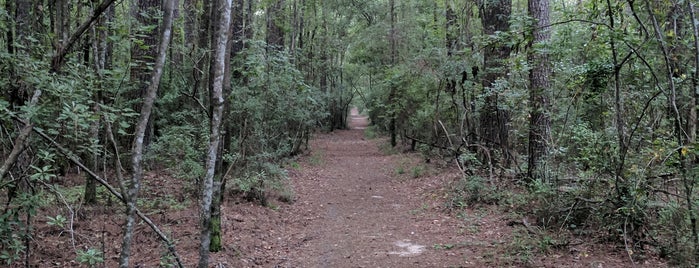 Lynches River County Park is one of South Carolina.