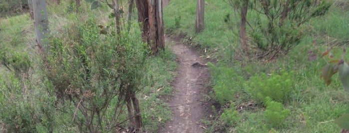 Parque Estatal Sierra de Guadalupe is one of Demian’s Liked Places.