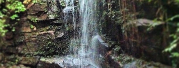 Cachoeira das Almas is one of rj.