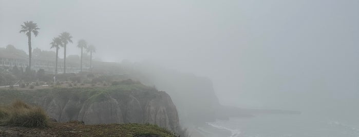 Spyglass Beach is one of Pismo Área.