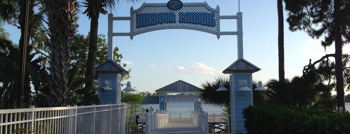 Marriott's Harbour Lake is one of Florida.