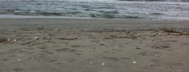 40th Street Beach is one of Sandy : понравившиеся места.
