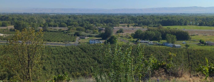 Freehand Cellar is one of Gayla'nın Beğendiği Mekanlar.