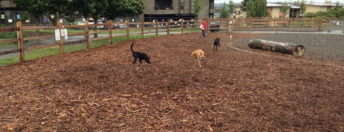 28th Ave Dog Park is one of Lugares favoritos de Jack.