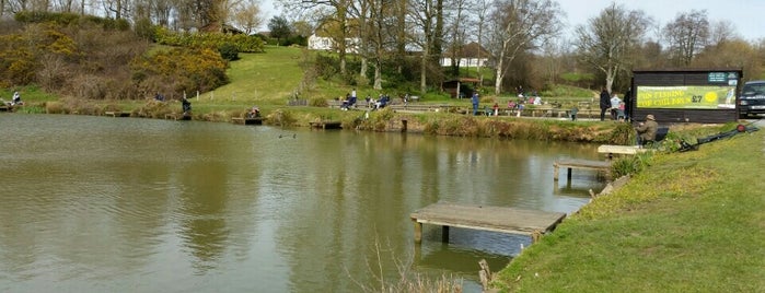 Hawkhurst Fish Farm is one of Locais curtidos por Kunal.