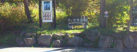 八ヶ岳美術館(原村歴史民俗資料館) is one of Jpn_Museums.