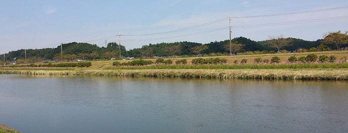 嵐の湯 多古店 is one of Locais salvos de papecco1126.