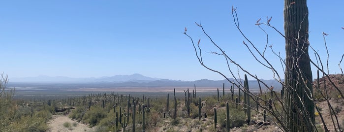 Arizona-Sonora Desert Museum is one of Americas.