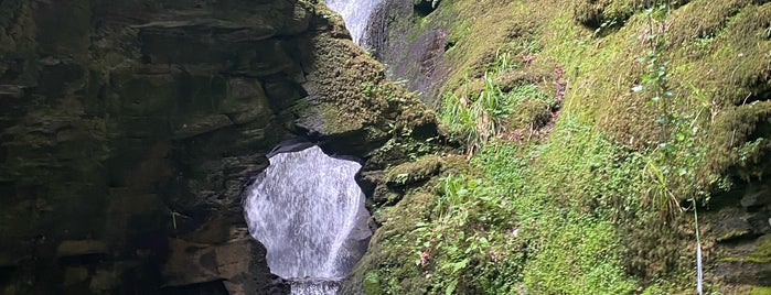 St Nectans Glen Waterfall is one of Lieux sauvegardés par Sevgi.