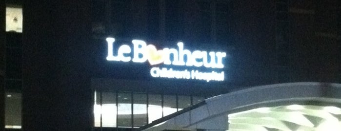 Le Bonheur Children's Hospital is one of Memphis.