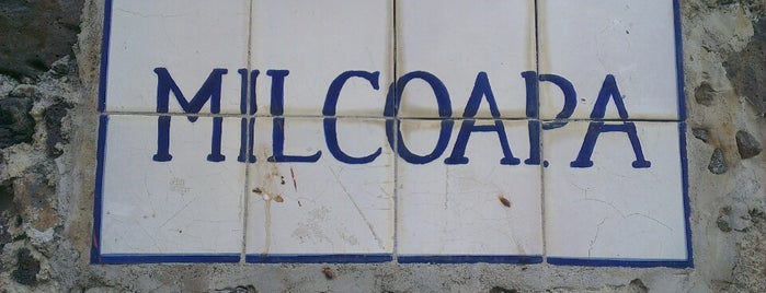 Milcoapa is one of Tepoz.