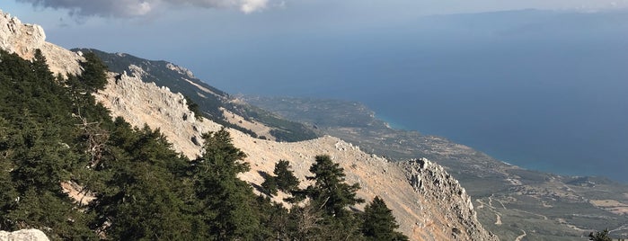 Aenos National Park is one of Greece. Kefalonia.