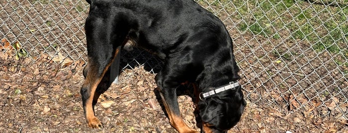 Frances J. Tilghman Memorial Dog Park is one of Cece's Places-2.