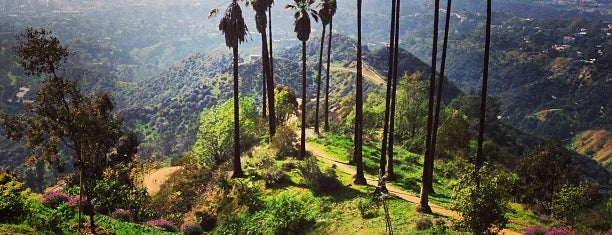 Mt. Hollywood Hiking Trail is one of Things to do in LA.