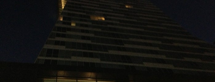 Trump Towers Office is one of Orte, die Veysel gefallen.