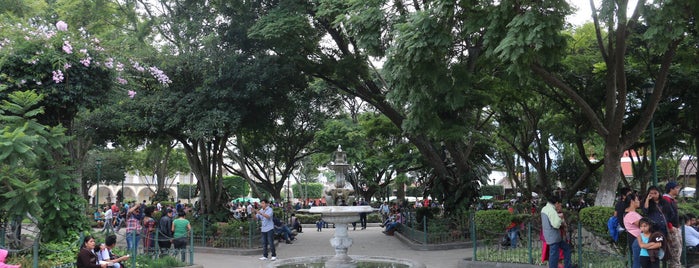 Parque Central de La Antigua Guatemala is one of Eduardoさんのお気に入りスポット.