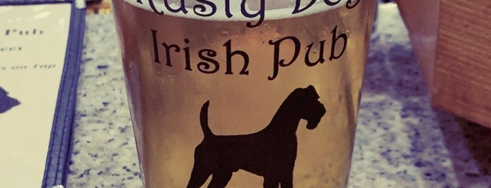 Rusty Dog Irish Pub is one of Favorites.