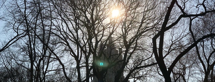 Central Park is one of Guilherme'nin Beğendiği Mekanlar.