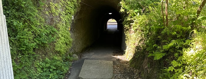 好好洞 赤トンネル is one of 神奈川/Kanagawa.