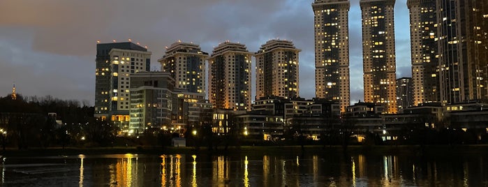 Мосфильмовский пруд is one of Next ponds to visit in Moscow.